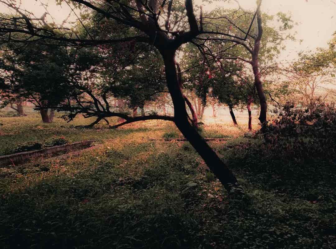 nature