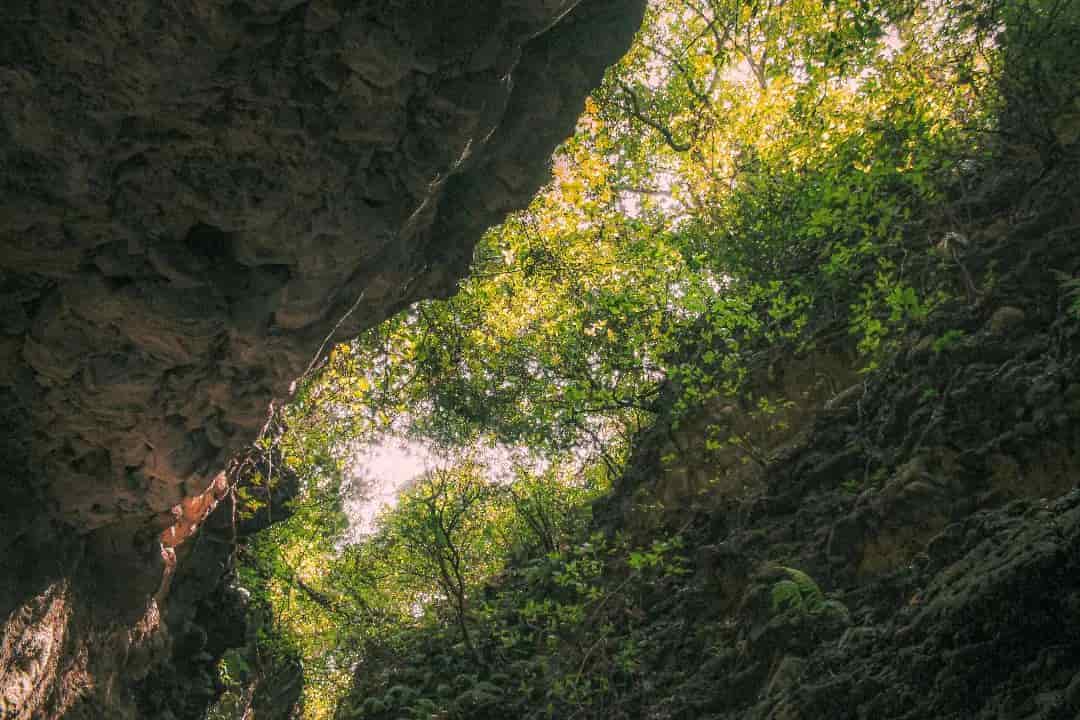 nature