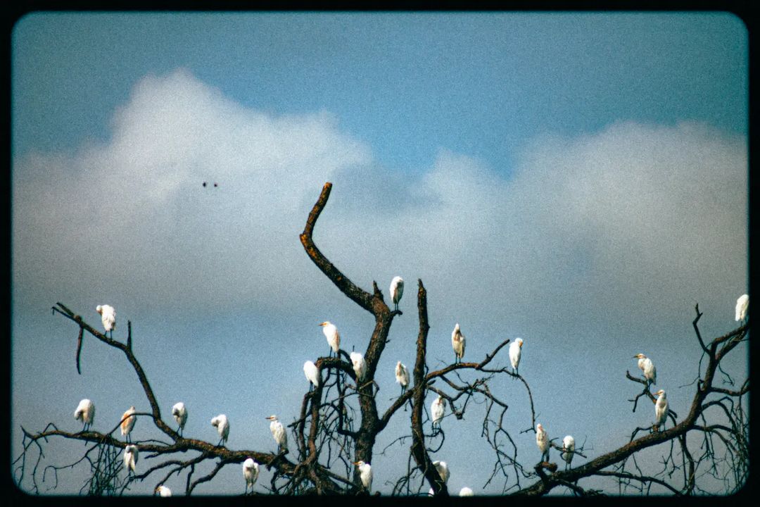 nature-main-image